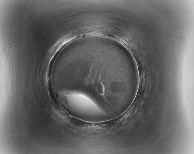 X0000085770290200703161149