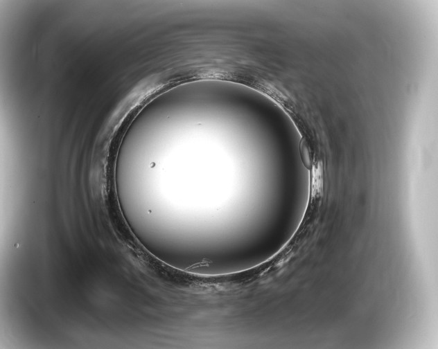 X0000085770291200703161149