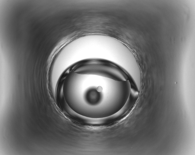 X0000085770293200703161149