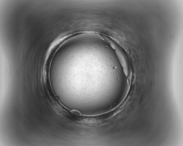 X0000085770294200703161149