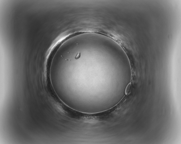 X0000085770296200703161149