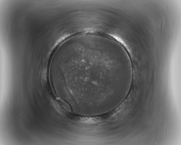 X0000085770297200703161149