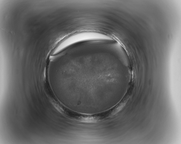 X0000085770301200703161149