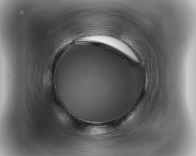 X0000085770303200703161149