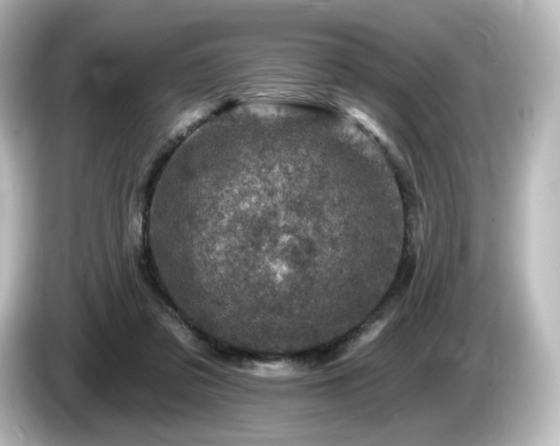 X0000085770309200703161149