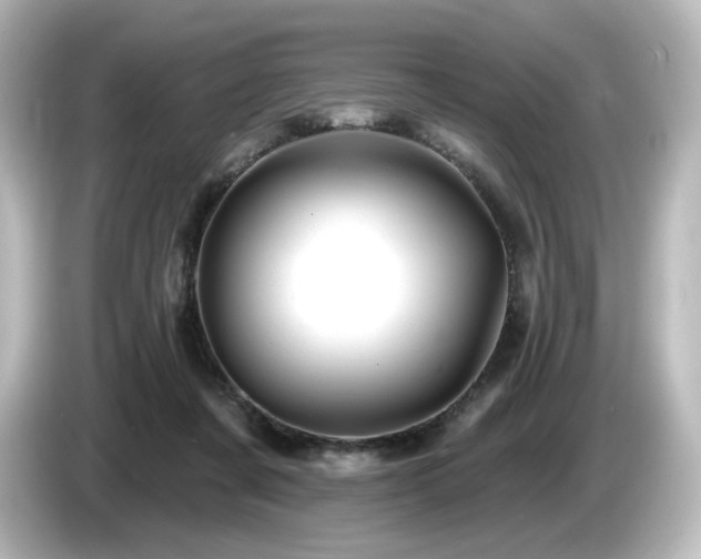 X0000085770311200703161149