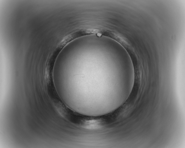 X0000085770312200703161149