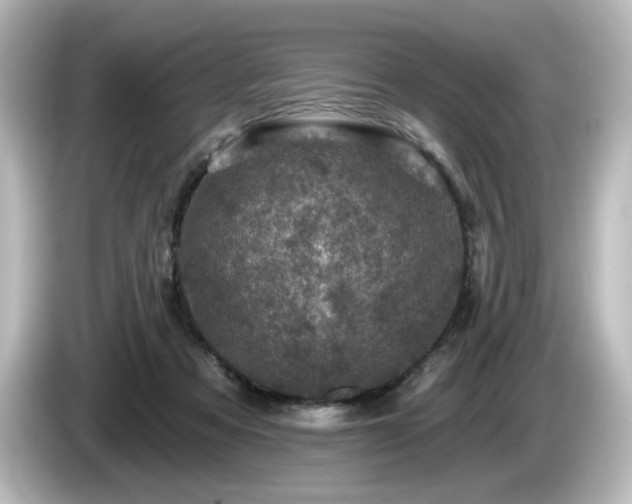 X0000085770313200703161149