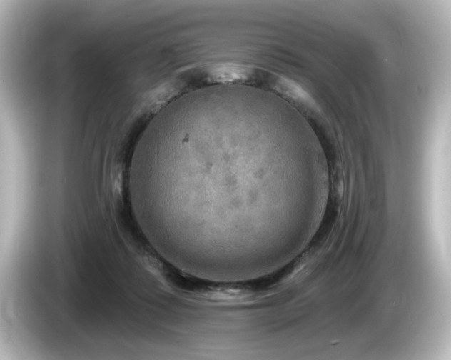 X0000085770315200703161149