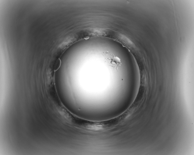 X0000085770318200703161149