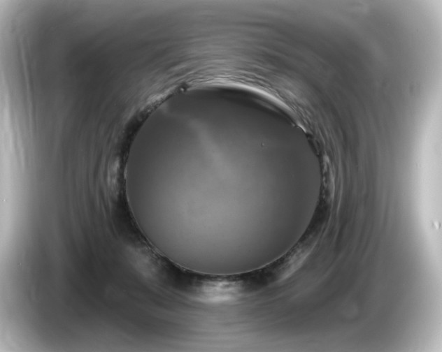 X0000085770319200703161149