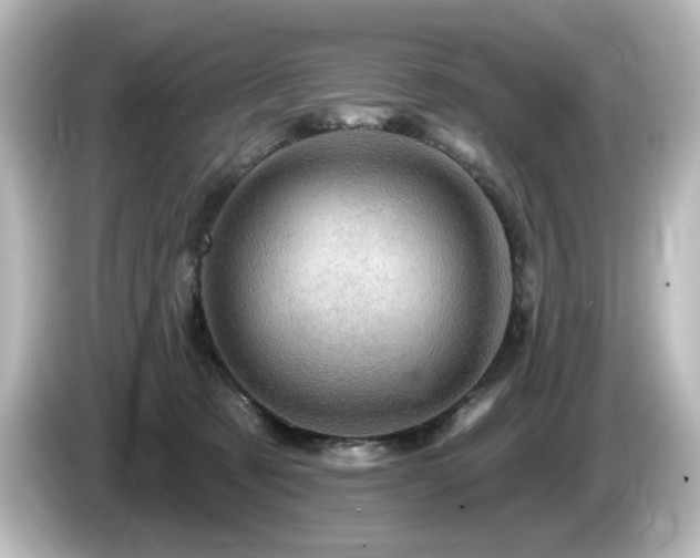 X0000085770321200703161149