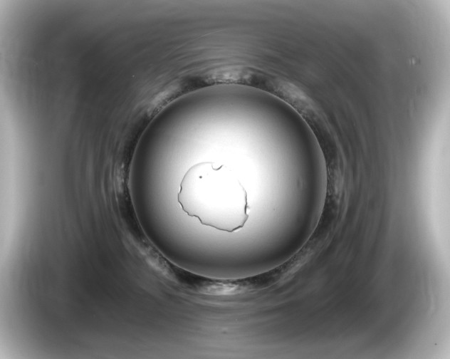 X0000085770326200703161149