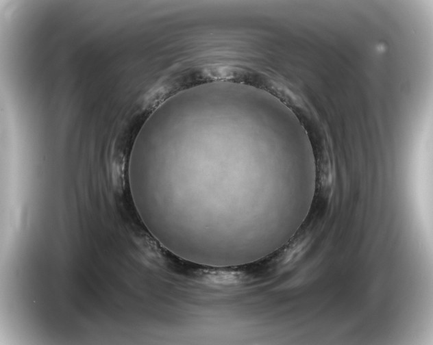 X0000085770332200703161148