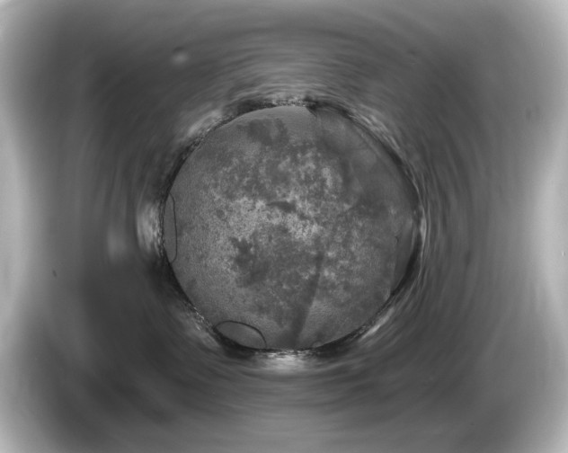 X0000085770335200703161148