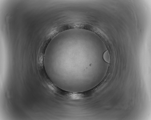 X0000085770336200703161148