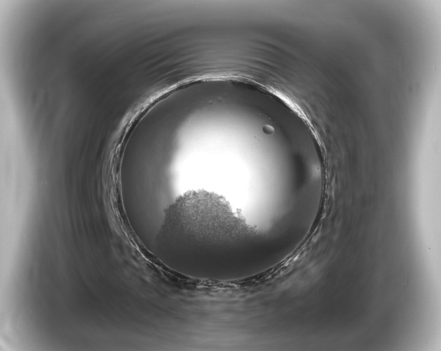 X0000085770337200703161148