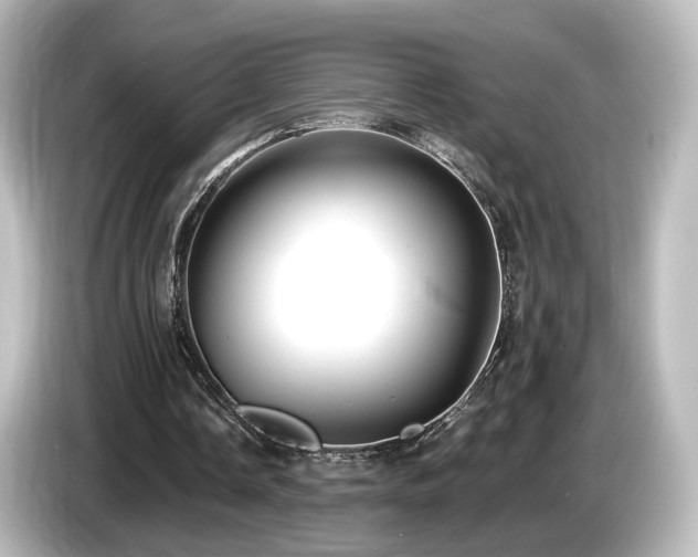 X0000085770338200703161148