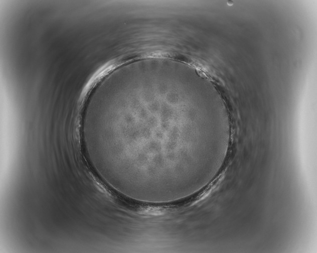 X0000085770341200703161148