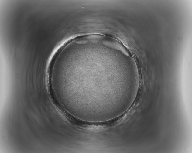 X0000085770342200703161148