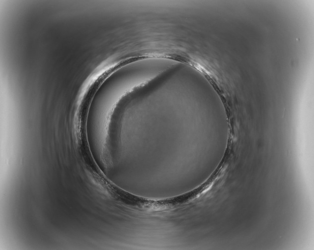 X0000085770343200703161148