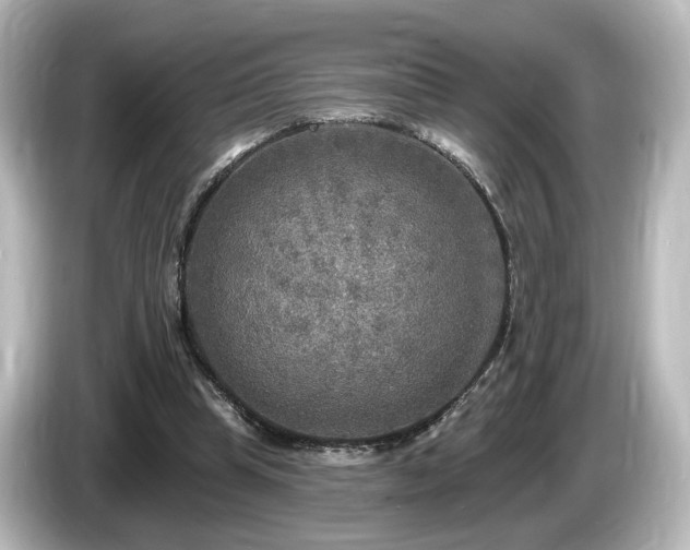 X0000085770345200703161148