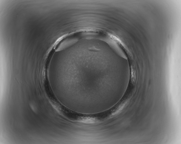 X0000085770348200703161148