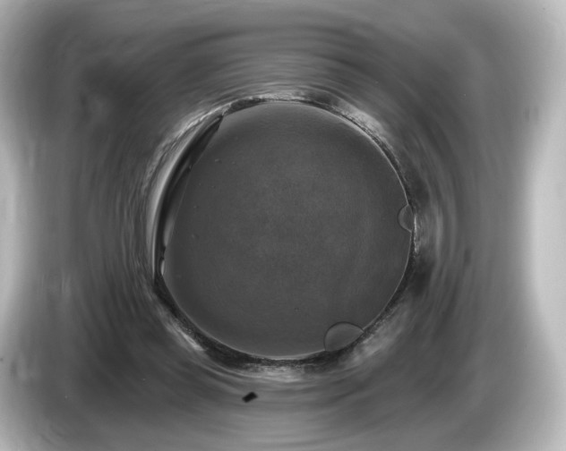 X0000085770349200703161148