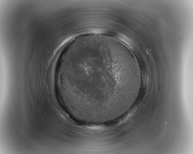 X0000085770350200703161148