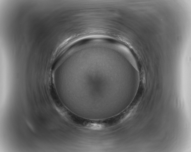 X0000085770352200703161148