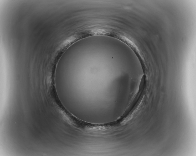 X0000085770353200703161148