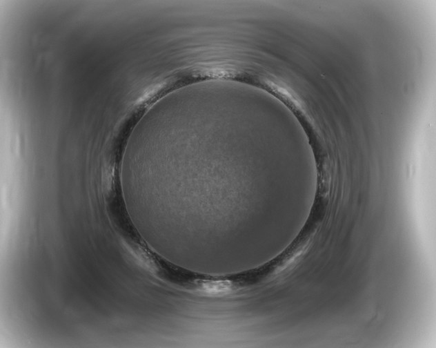 X0000085770355200703161148