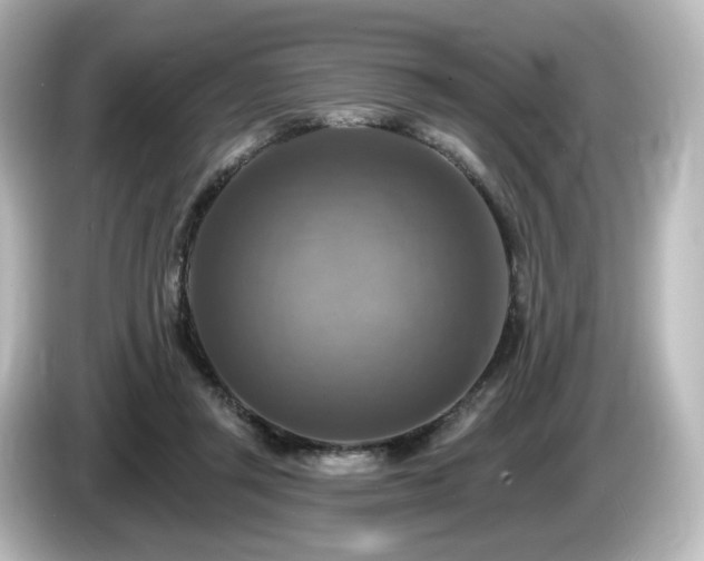 X0000085770357200703161148