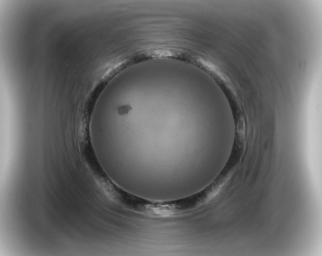 X0000085770359200703161148