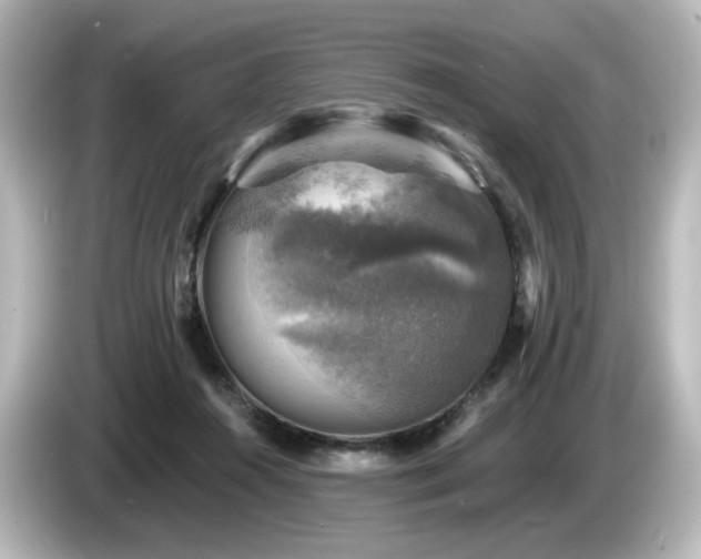 X0000085770360200703161148