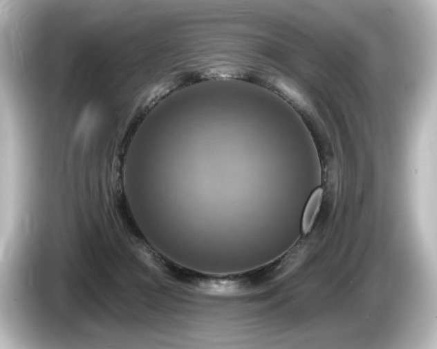 X0000085770361200703161148