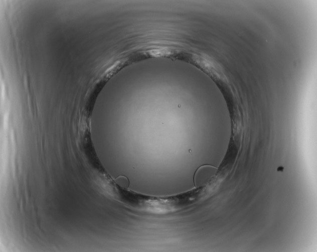 X0000085770367200703161148