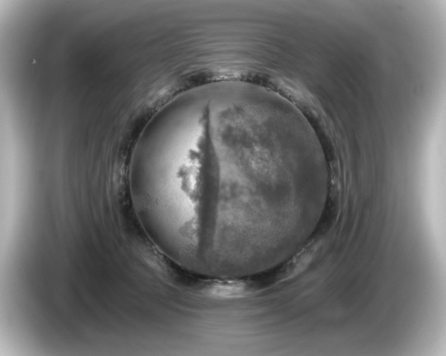 X0000085770369200703161148