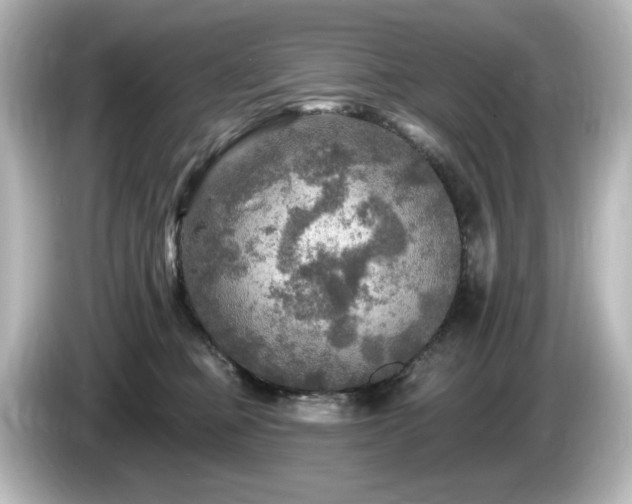 X0000085770373200703161148