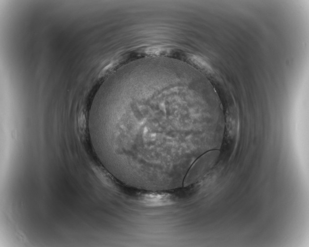 X0000085770375200703161148