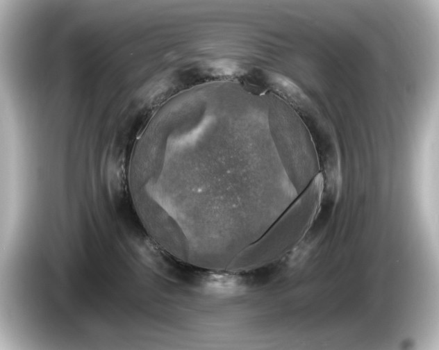 X0000085770376200703161148