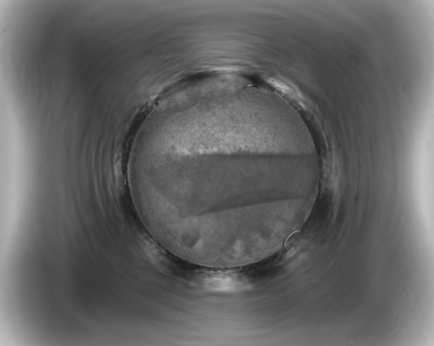 X0000085770377200703161148