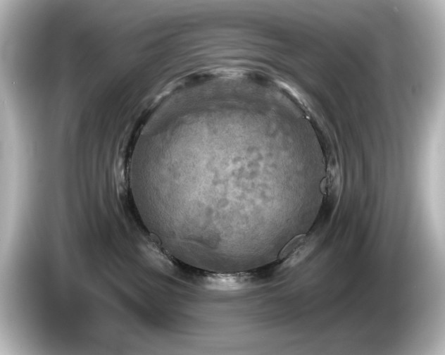 X0000085770381200703161148