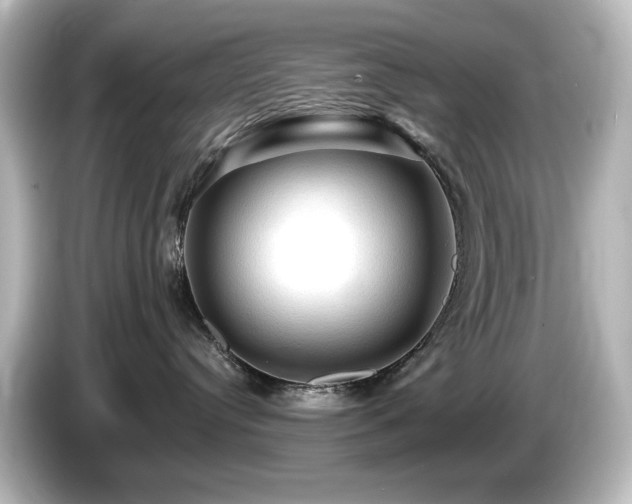 X0000085770384200703161148