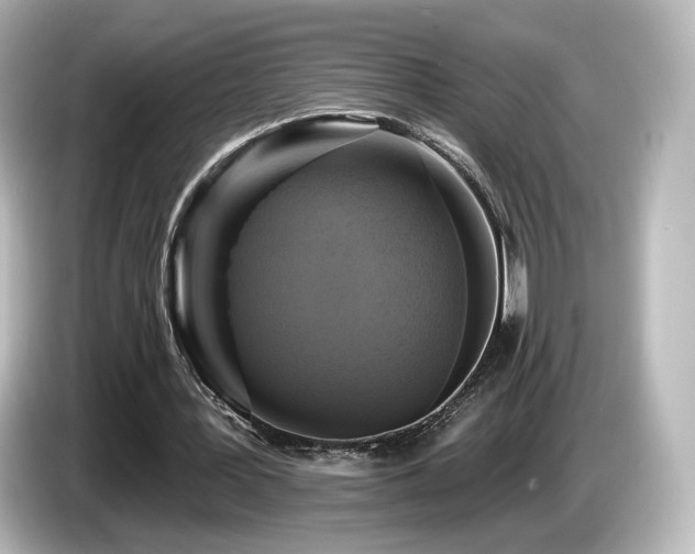 X0000085770387200703161148