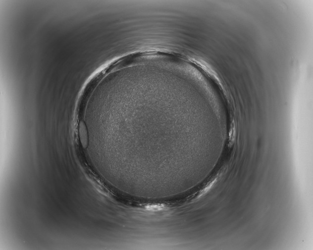 X0000085770388200703161148