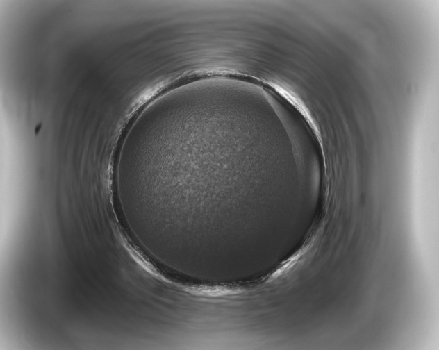 X0000085770389200703161148