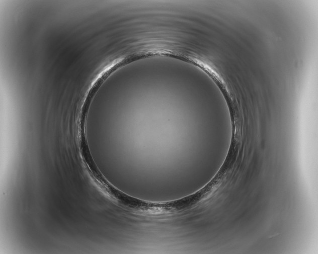 X0000085770390200703161148