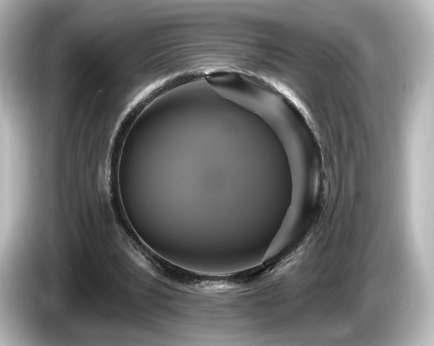 X0000085770391200703161148