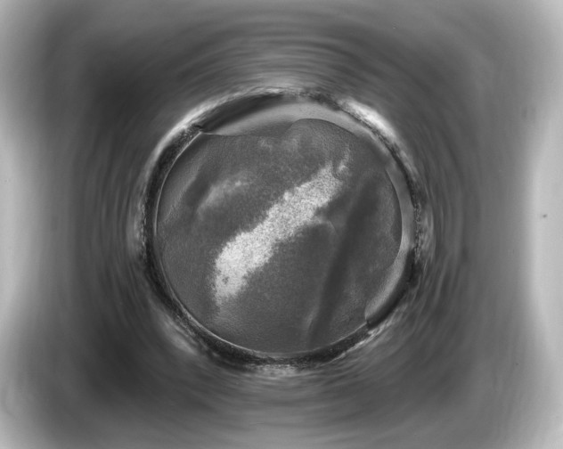 X0000085770392200703161148